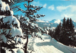 Route De GRENOBLE A AUTRANS Par Le Col De La Croix Perrin 14(scan Recto-verso) MA2051 - Grenoble