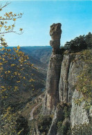 Gorges De La Jonte  Et Vase De Sevres   30   (scan Recto-verso)MA2048Ter - Gorges Du Tarn