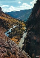 Gorges Du Tarn  Aux Environs Des VIGNES   20   (scan Recto-verso)MA2048Ter - Gorges Du Tarn