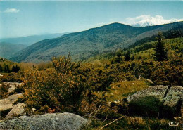 PRADES Le Col De Jan  53   (scan Recto-verso)MA2048Bis - Prades