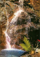 étang De Lers Ou De L'Hers Cascades De L' ARBU  à PORT Vallée D'Oust - Vallée De Massat   41 (scan Recto-verso)MA2062Ter - Autres & Non Classés