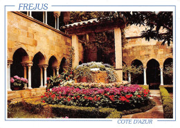 FREJUS Le Cloitre Son Petit Jardin Central Et Le Vieux Puits 4(scan Recto-verso) MA2062 - Frejus