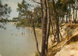 Lac Belle Isle Chateauroux   10   (scan Recto-verso)MA2060Bis - Chateauroux
