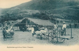 GUINEE FRANCAISE  CONAKRY EXPLOITATION AGRICOLE  51  (scan Recto-verso)MA2058Bis - Guinea Francesa