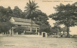 GUINEE FRANCAISE  CONAKRY Service Du Port  50  (scan Recto-verso)MA2058Bis - Guinée Française