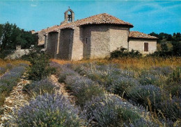 SAULT Par La Gabelle Plateau Des Abeilles   34  (scan Recto-verso)MA2058Bis - Carpentras