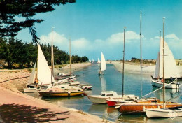 ILE DE Ré  ARS En Ré Yachts Sortant Du Port  16  (scan Recto-verso)MA2064Ter - Ile De Ré