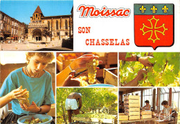 MOISSAC L Eglise Abbatiale Et Le Celebre Chasselas De Moissac 9(scan Recto-verso) MA2076 - Moissac
