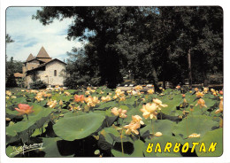 BARBOTAN LES THERMES Le Ardin Des Lotus Floraison En Juillet L Eglise Saint Pierre 25(scan Recto-verso) MA2093 - Barbotan