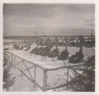 Foto Deutsche Soldatengräber Im Winter - Soldatenfriedhof - 2. WK - 5*5cm  (69019) - Guerre, Militaire