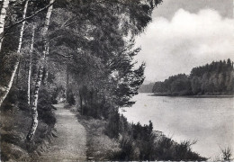 CP LAC DES SETTONS - Sonstige & Ohne Zuordnung