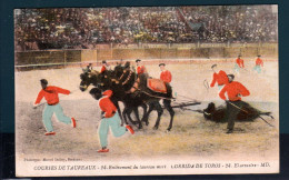 CP Courses De Taureaux - Enlèvement Du Taureau Mort (1923). - Corridas