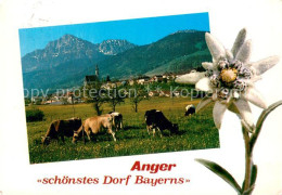 73746449 Anger Bad Reichenhall Panorama Mit Hochstaufen  - Bad Reichenhall