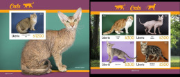 Liberia 2021, Animals, Cats, 4val In BF +BF IMPERFORATED - Chats Domestiques