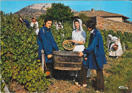 Le Groupe Folklorique "MATISCONIA" En Vendanges à Vergisson - Altri & Non Classificati