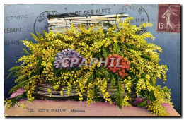 CPA Cote D&#39Azur Mimosas Fleurs  - Other & Unclassified