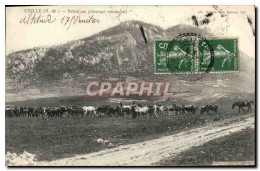 CPA Caille Betail Au Paturage Communal Vaches  - Other & Unclassified