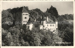 12577934 Lampenberg Schloss Wildenstein Lampenberg - Autres & Non Classés