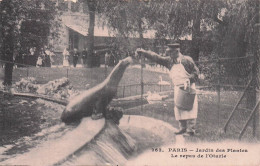 PARIS  JARDIN DES PLANTES LE REPAS DE L'OTARIE - Parcs, Jardins