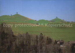 12576754 Sihlgraben Landschaftspanorama Sihlgraben - Altri & Non Classificati