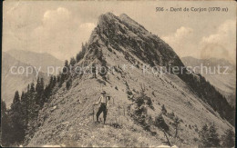 12574962 Dent De Corjon Gipfel Bergsteiger Dent De Corjon - Other & Unclassified