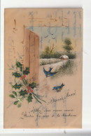 CP CELLULOID PEINTE Oiseaux Paysage Houx - Other & Unclassified