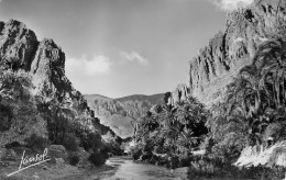 Algerie Biskra Aux Portes Du Desert  57 (scan Recto-verso)MA2111Bis - Sonstige & Ohne Zuordnung