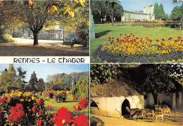 RENNES Le Jardin Du Thabor Au Printemps Et A La Toussaint 1(scan Recto-verso) MA2111 - Rennes