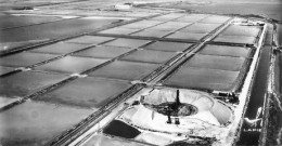 Aigues Mortes Salins   Vue D'avion. Carte Photographique ARGENTIQUE Ed LAPIE Dentelée Vierge  .34 MA2116Ter - Aigues-Mortes