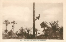 GUINÉE - CONAKRY - La Cueillette Du Vin De Palme  14   (scan Recto-verso)MA2114Bis - Guinée Française