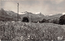 MEGEVE Aiguille De WARENS LES FITZ PLATE 17(scan Recto-verso) MA2153 - Megève