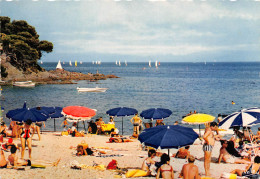 BORMES Un Coin De La Plage De La Faviere Et Les Regates 2(scan Recto-verso) MA2143 - Bormes-les-Mimosas