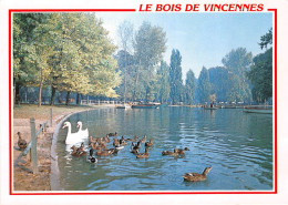 LE BOIS DE VINCENNES 29(scan Recto-verso) MA2140 - Vincennes