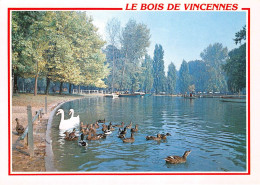 LE BOIS DE VINCENNES 26(scan Recto-verso) MA2140 - Vincennes