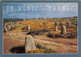 CARNAC Les Alignement 12(scan Recto-verso) MA2139 - Carnac