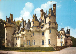 CHATEAU DE LA LOIRE RIGNY USSE Facade Est 26(scan Recto-verso) MA2138 - Grenoble