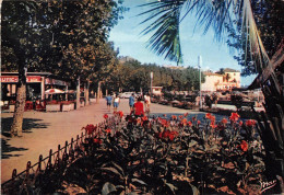 SAINTE MAXIME SUR MER La Promenade 22(scan Recto-verso) MA2167 - Sainte-Maxime