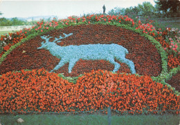 LAVAUR Un Motif Du Jardin Bressolles 16(scan Recto-verso) MA2166 - Lavaur