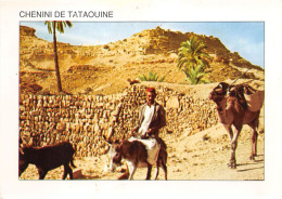 TUNISIE Chenine De Tataouine 30(scan Recto-verso) MA2163 - Tunesien