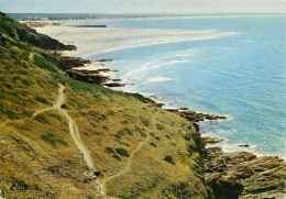 BARNEVILLE  CARTERET  Le Port  Falaises Et Chemin Des Douaniers   6   (scan Recto-verso)MA2171Bis - Carteret