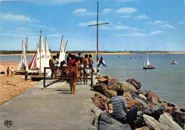 LA TRANCHE SUR MER La Etee Et Les Voiliers 14(scan Recto-verso) MA2170 - La Tranche Sur Mer