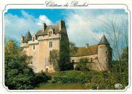 Rosnay Indre Le Chateau  31   (scan Recto-verso)MA2168Ter - Le Blanc