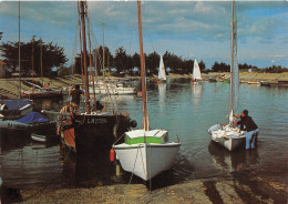 ILE DE RE ARS EN RE Voiliers Avant Le Depart 1(scan Recto-verso) MA2184 - Ile De Ré