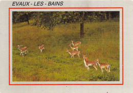 EVAUX LES BAINS Les Daims 27(scan Recto-verso) MA2182 - Evaux Les Bains