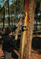 Le Gemmeur  Pins Seve Résine Gemmage LANDES   13 (scan Recto-verso)MA2178Ter - Mimizan