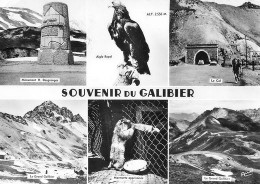 Col Du Galibier  31   (scan Recto-verso)MA2176Bis - Other & Unclassified