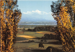 DIVONNE LES BAINS Le Lac Leman Et Le Mont Blanc Vus De Divonne 29(scan Recto-verso) MB2300 - Divonne Les Bains