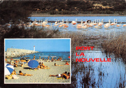 PORT LA NOUVELLE Ses Etangs Sa Plage 2(scan Recto-verso) MB2341 - Port La Nouvelle