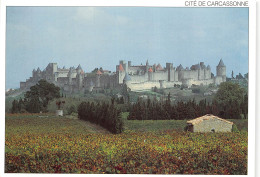 CITE DE CARCASSONNE Vue Des Flancs Sud Et Ouest De La Cite Medievale 25(scan Recto-verso) MB2345 - Carcassonne