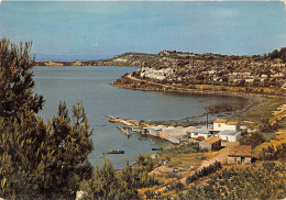 SIGEAN Vue Generale Sur L Etang  7(scan Recto-verso) MB2347 - Sigean